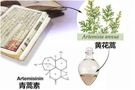 中欧平台,中欧（中国）：向中医药看齐，与世界共享中医药文化(图1)